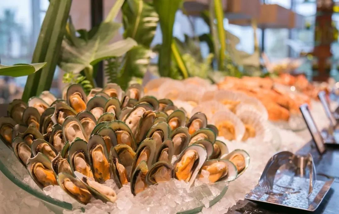 国庆与家人、朋友住韶关碧桂园*阳城太**凤凰酒店享美好假期