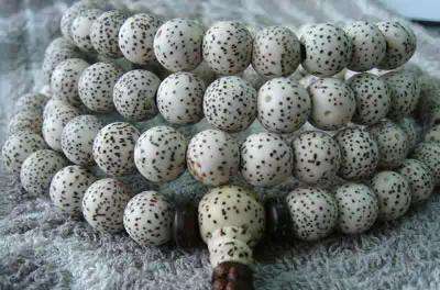 星月菩提名词大全,星月菩提术语有哪些