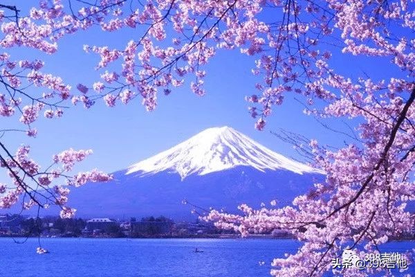 横尾幸弘动漫,横尾幸弘