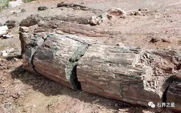世上最惊艳的木头,世界上最漂亮的红色木头