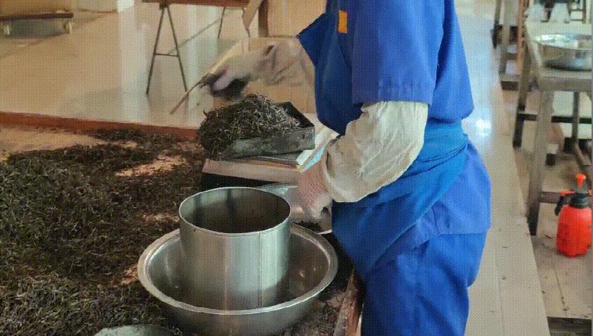 盼了一年的好茶,勐库戎氏古树茶2010秋茶