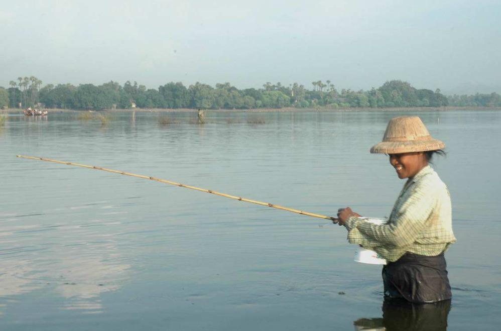 钓鱼新手先学钓什么鱼,钓好鱼要合理的选择和搭配
