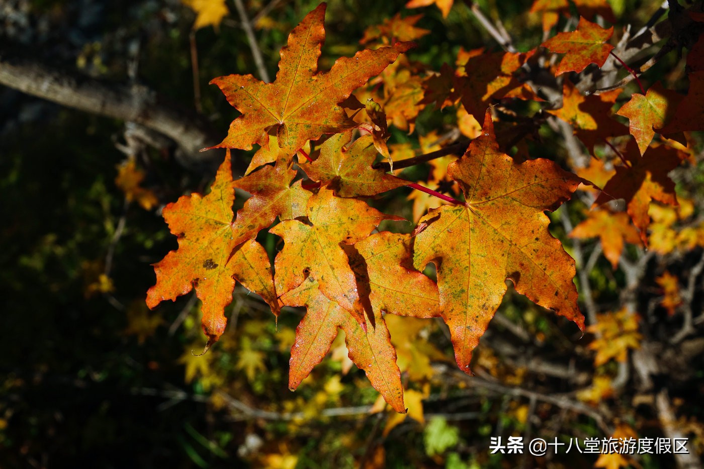 张家口有什么峡谷,张家口有什么大峡谷