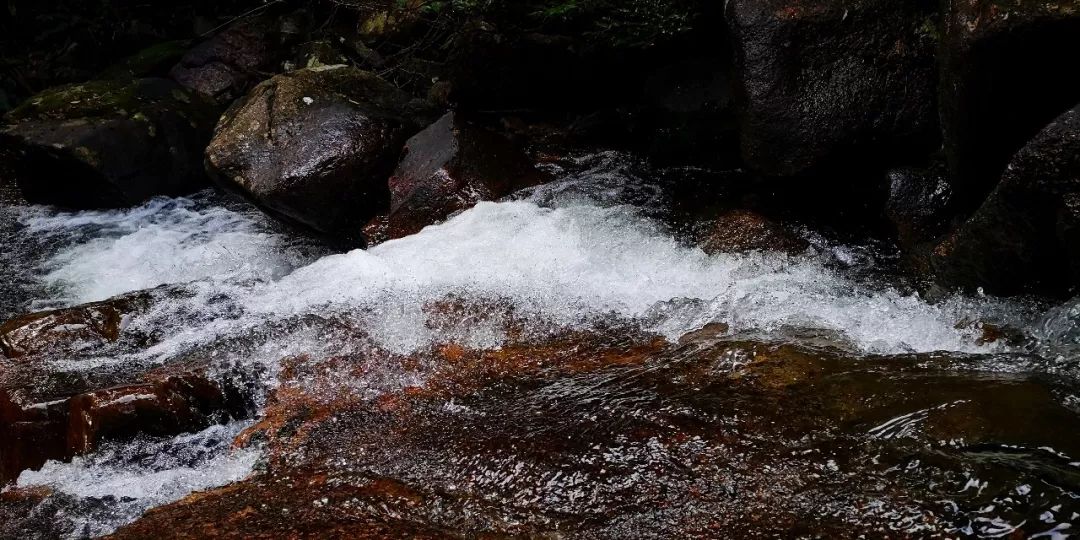 贺州姑婆山景区国家森林公园,贺州姑婆山森林公园路线