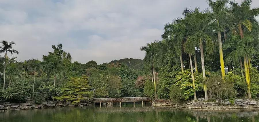 青秀山团建位置,广西团建三日两夜地方推荐