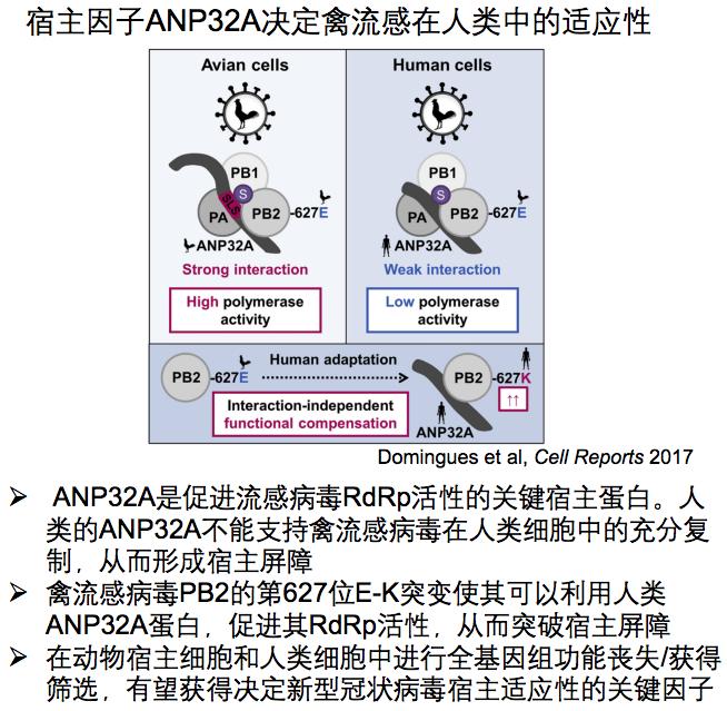 中医科学院任丽丽,任丽丽