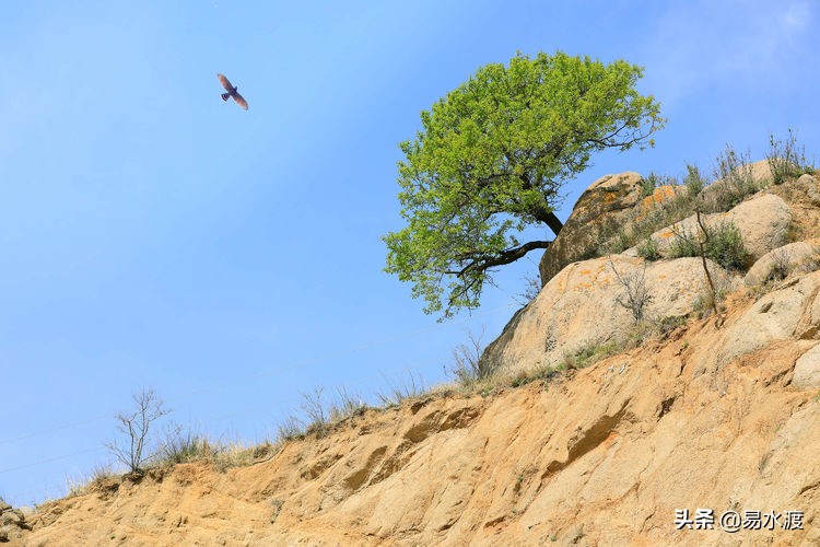 易县八百山,易县一日游太行水镇