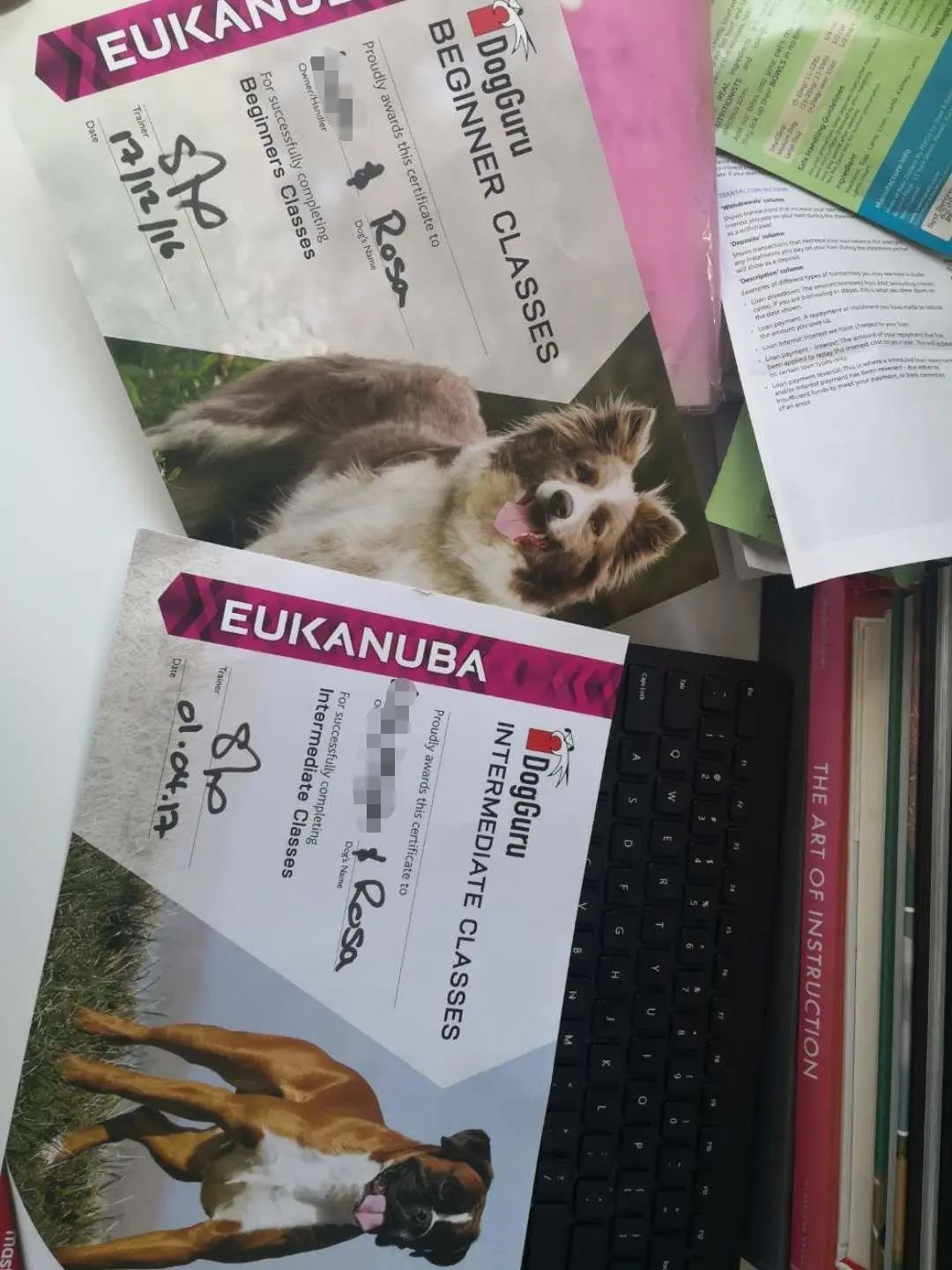 文明养犬是对狗狗最美的宠爱,文明养犬有宠物的世界还是更有爱