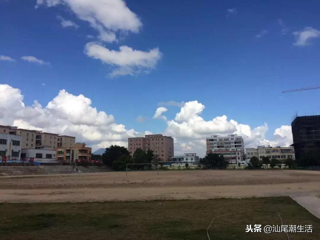 海丰县红城中学高考喜报,广东海丰红城中学