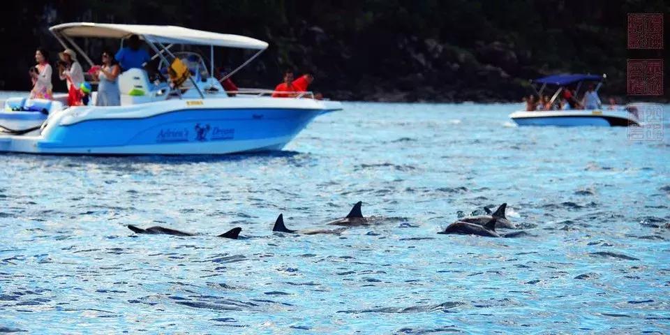 拿着护照能直接去的免签国家,必游的十大海岛