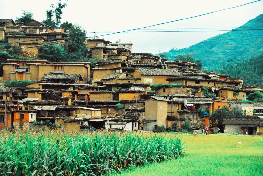 被烧之前的云南翁丁原始部落,我国最古老的村庄被烧毁