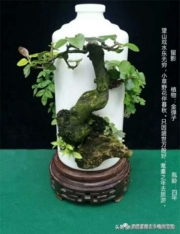 电影目录大汇聚（1970—1989）