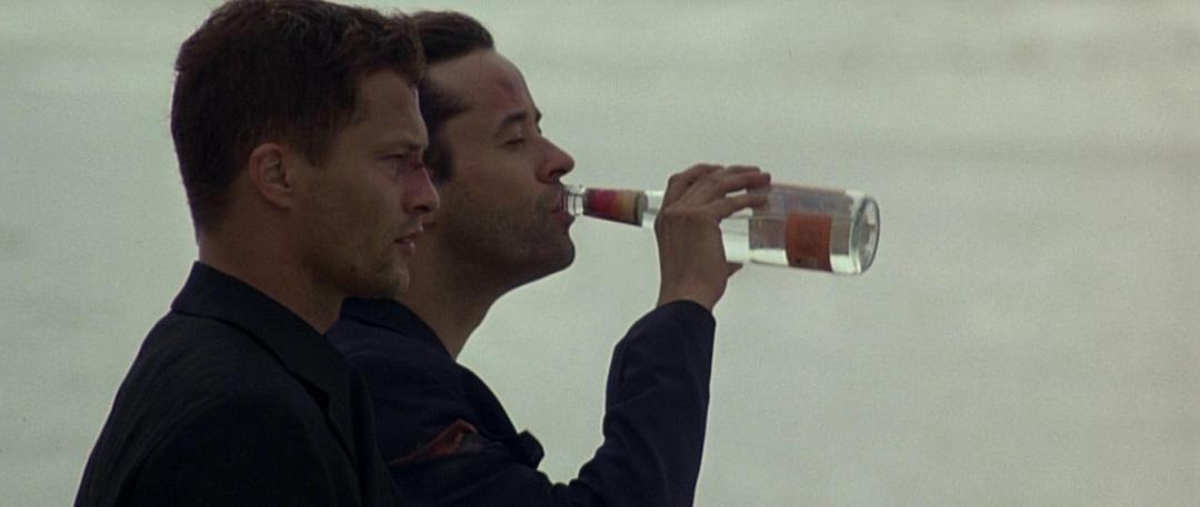 十部顶级搞笑公路电影,十部放飞自我的公路电影