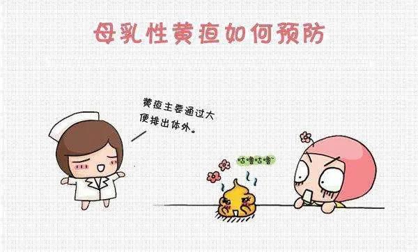 母乳性黄疸会影响智力吗,母乳性黄疸最晚几个月退