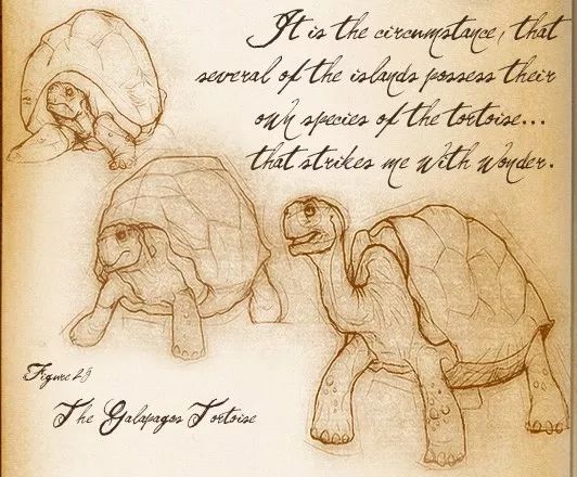 神秘的失落岛屿,失落的岛屿奇怪事