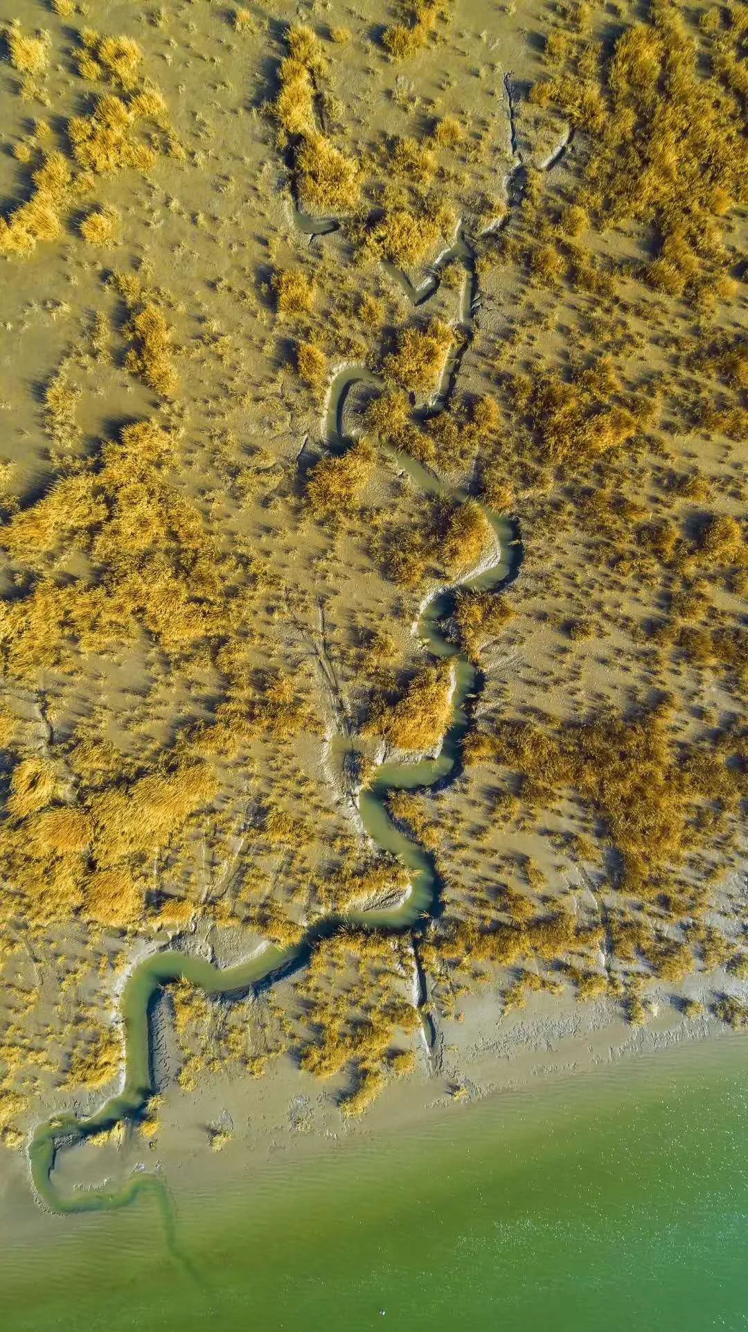 山东东营位置,这就是东营