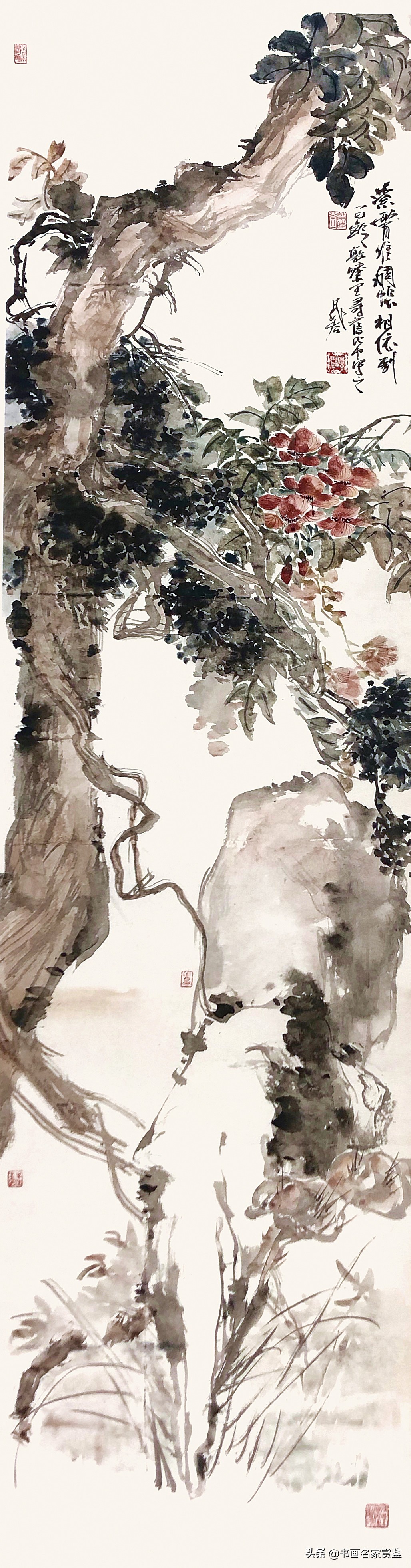 灵芝九折楚莲醉，翾风一叹梁庭秋——晁谷先生笔下的灵芝入画