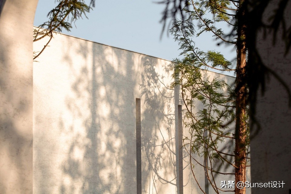 幽居在闹市潜游天地间,闹市寻幽处雅意上心头