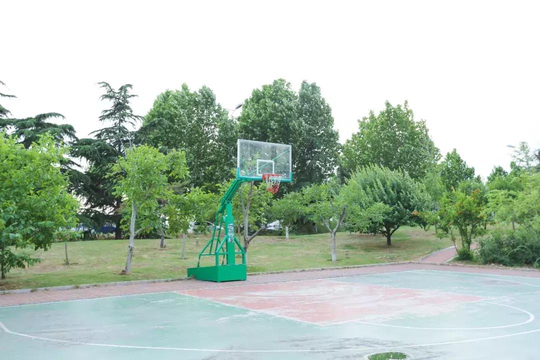 沈阳篮球约球攻略,临沂约球