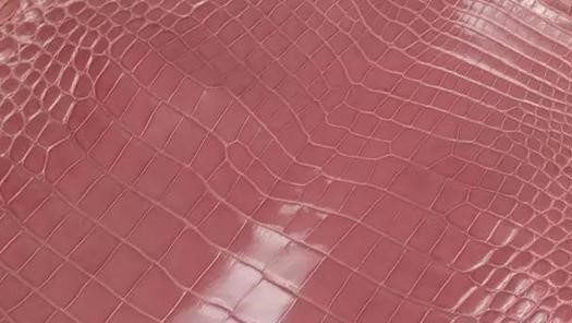 你真的了解鳄鱼皮吗,你真的了解供应链吗