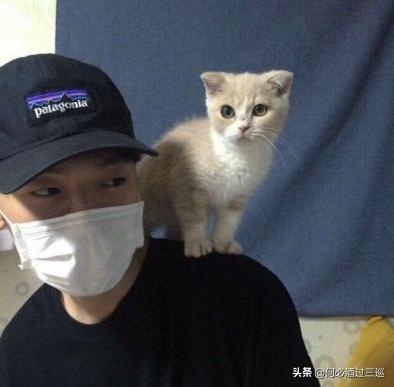 男生发“快睡吧”,回嗯嗯太low了,小野猫教你“撩爆”他哟~