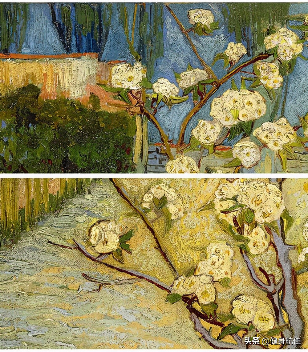 健身知识第二集,健身知识学习合集