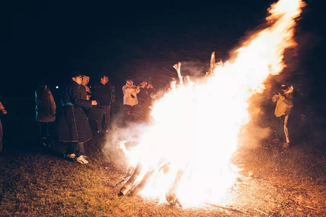 途达探索之旅,途达探索之旅完整版