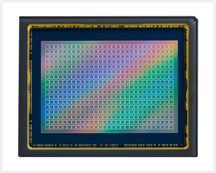 尼康z7ii14-24人像拍摄技巧,尼康z7人像直出样张