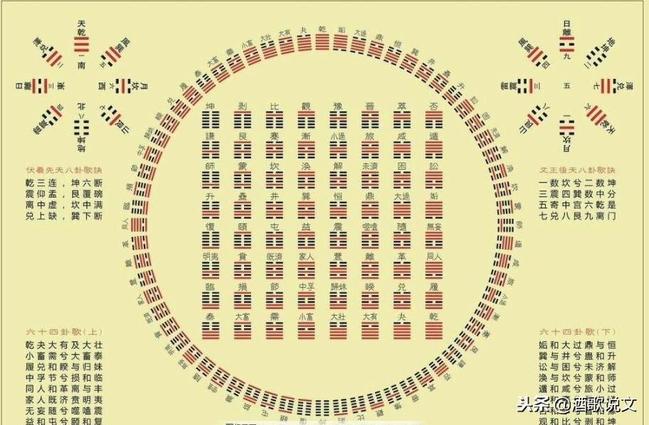 曾仕强50根蓍草算卦演示,蓍草占卜法四种结果
