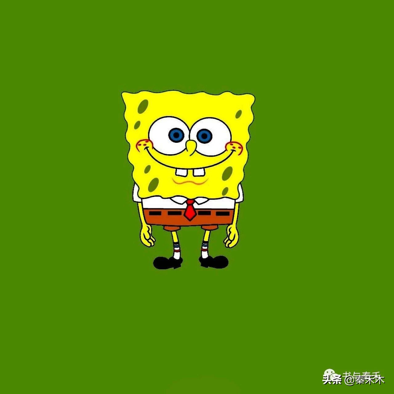 长大后再看海绵宝宝,长大后看海绵宝宝有多么现实