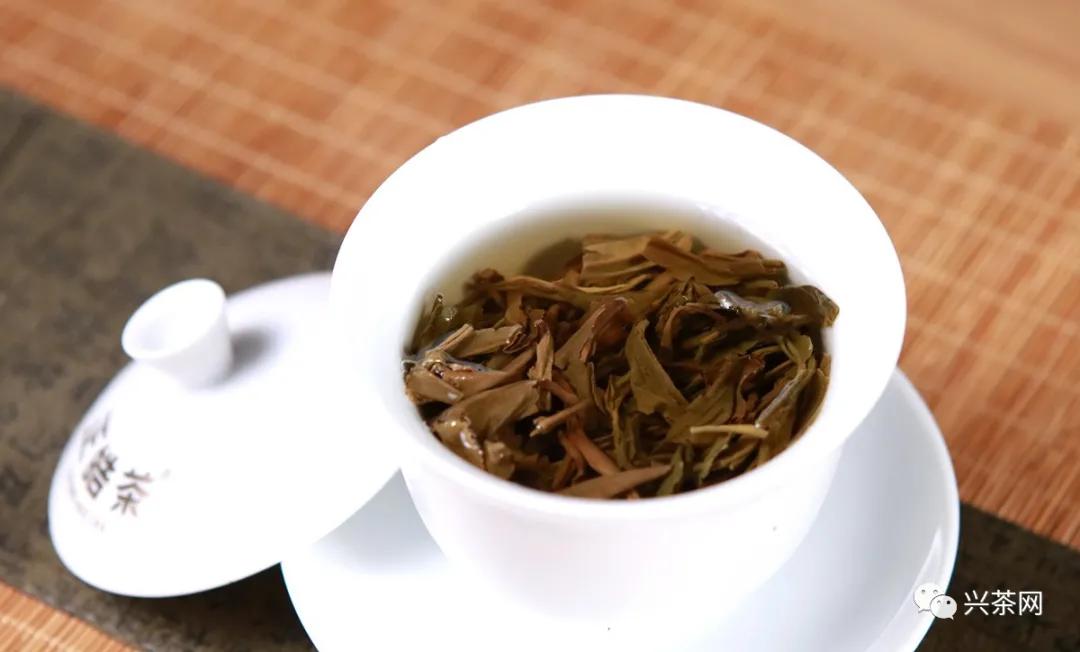 中茶七星班章孔雀沱茶,品鉴云孔雀班章沱茶