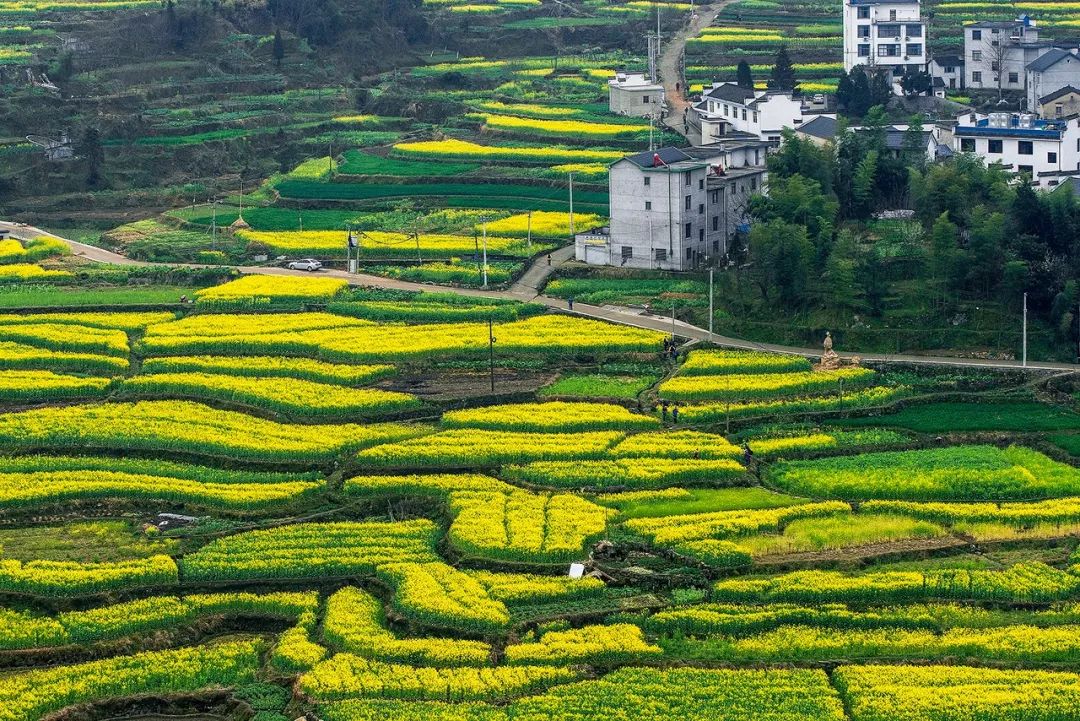 安徽最容易被忽视的地方,安徽低调吗