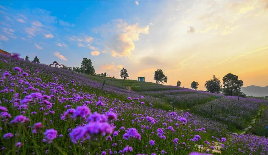 湖南长沙周边一日游景区推荐,长沙周边岳阳一日游玩最佳地方