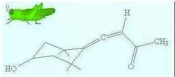 企鹅烯的结构式,企鹅烯