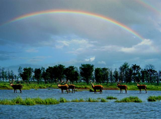 五一武汉市周边游,五一武汉周边短途旅游推荐