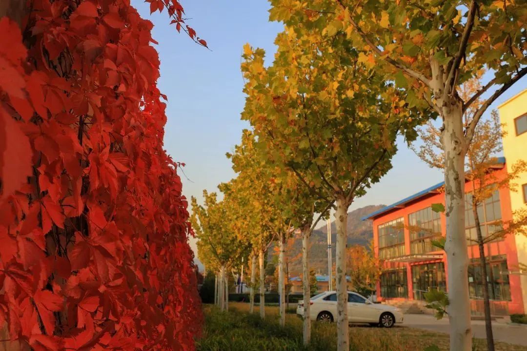 北京所有小学排名一览表,北京30所小学排名一览表