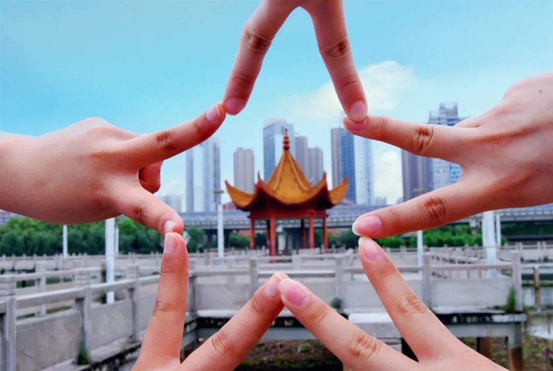 中国人寿鑫享至尊（庆典版）深度剖析之附加万能账户