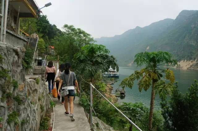清远小北江古栈道到飞来寺,清远岭南第一峰栈道