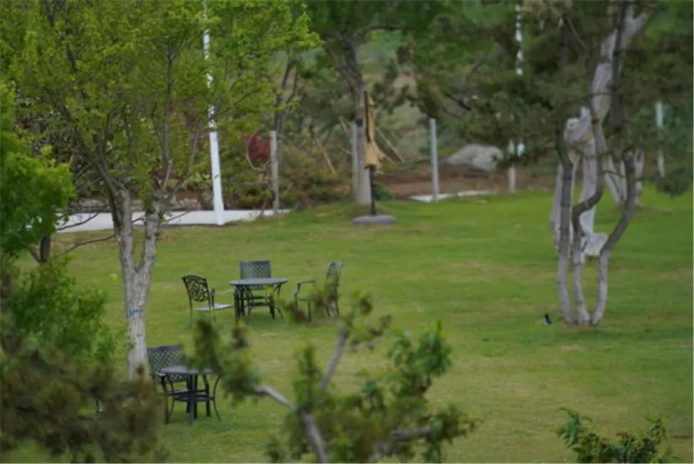 星空露营生态园,星空露营户外团建策划