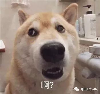 沙雕网友最后差点气吐血,沙雕网友用力过猛