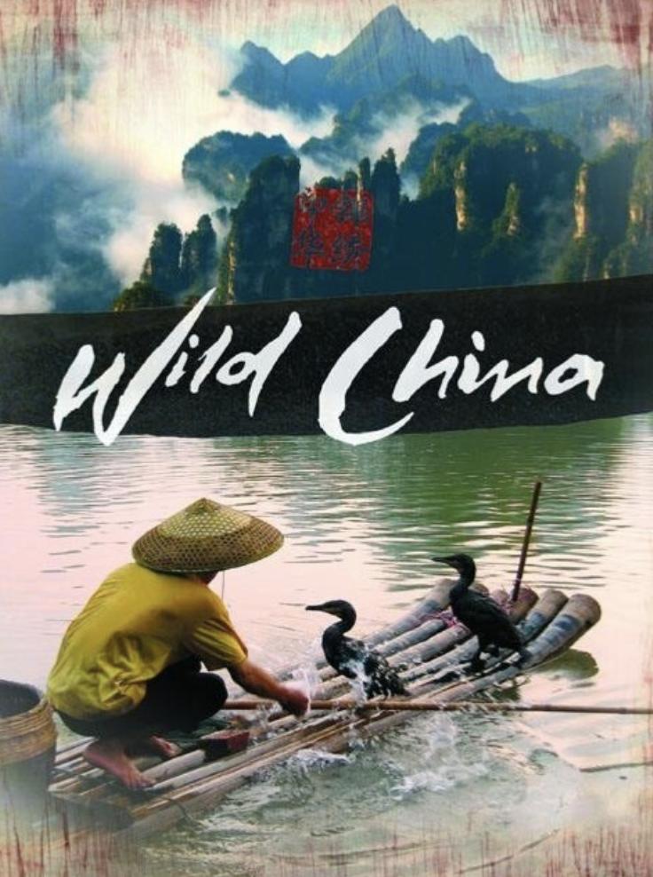 学好地理必看的书籍,学好地理必看的六部电影