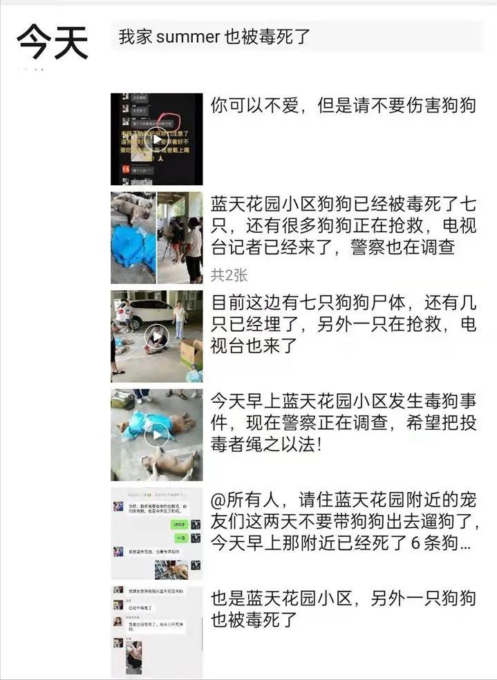 小区300多头狗被毒死,狗在小区被毒死是什么案件