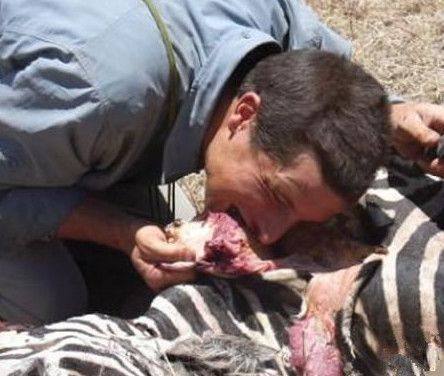 野外求生获取水,野外求生怎么获得水