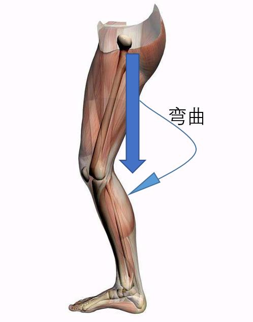 电梯35层下坠女子教科书式自救,电梯坠落跳一下能活命吗