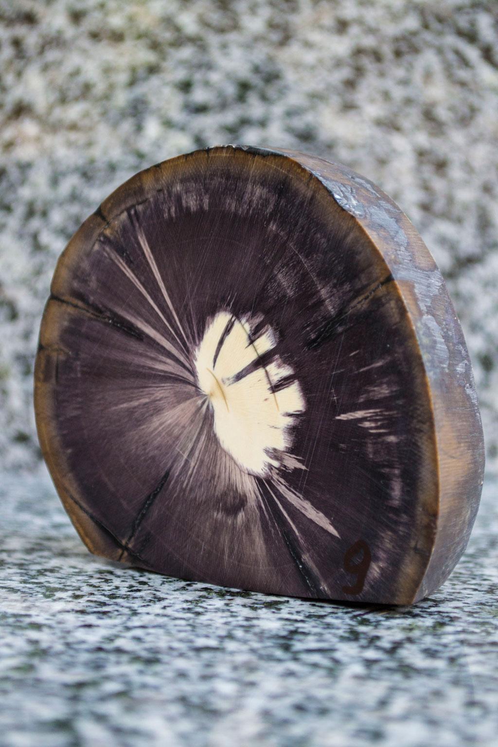 喜欢猛犸象的人,猛犸牙教程