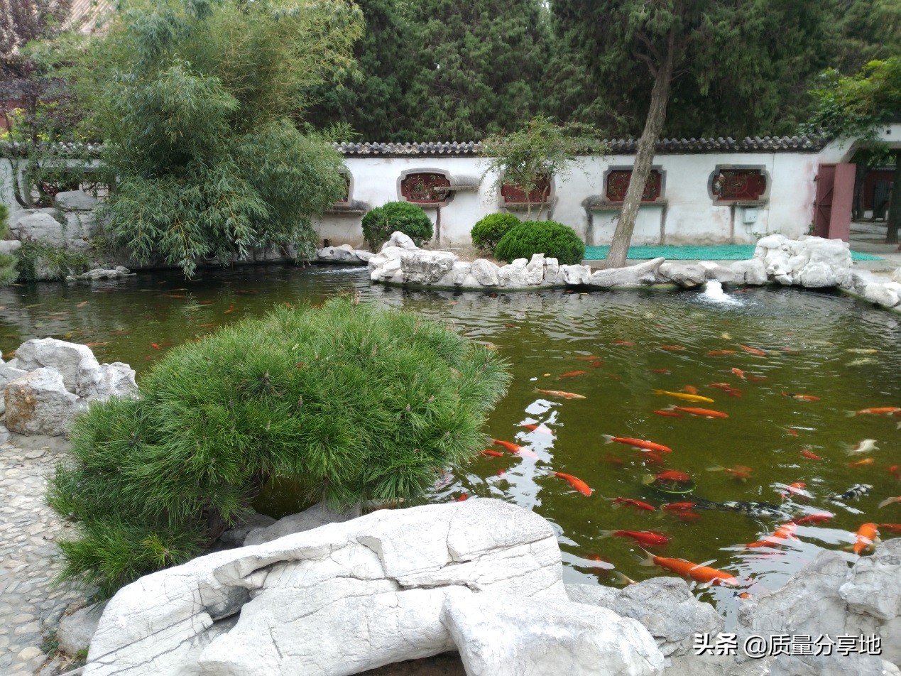 五岳独尊泰山一日游,泰山五岳独尊游记
