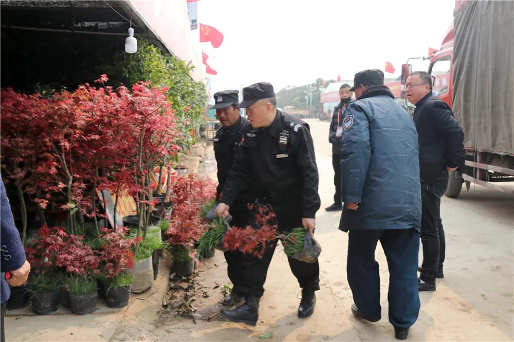 宿迁市沭阳县沭阳国际花木城,沭阳国际花木城布局