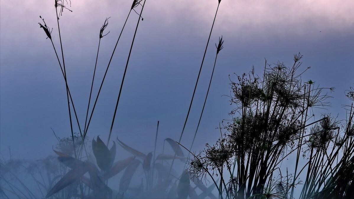 跑腿行业哪个平台好,跑腿行业怎么交流