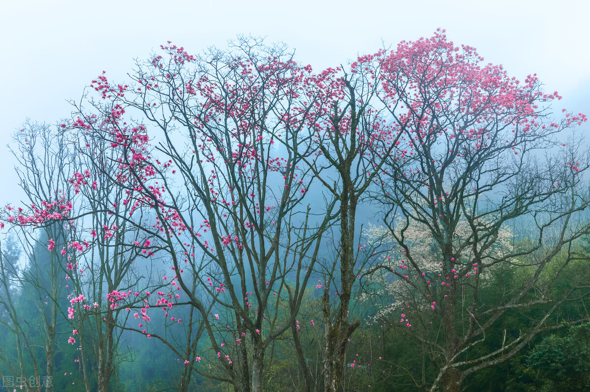 时刻都想着女朋友,时刻都会想着某个人是为什么