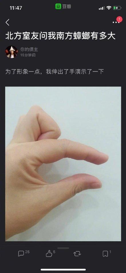 南方蟑螂和北方蟑螂对比恶搞,南方大蟑螂吓哭北方人